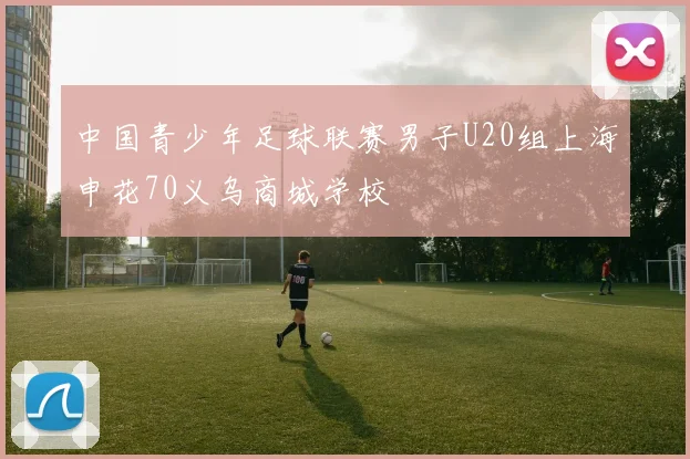 中国青少年足球联赛男子U20组上海申花70义乌商城学校